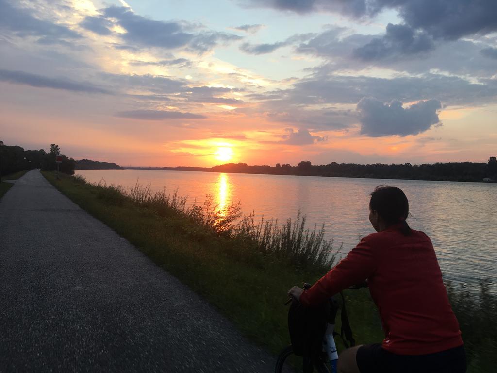 Donaupark Camping Tulln Tulln An Der Donau Екстер'єр фото