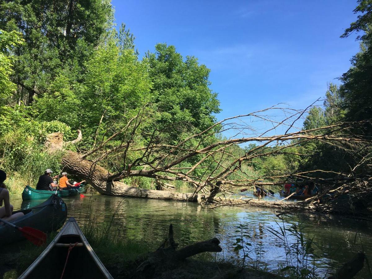 Donaupark Camping Tulln Tulln An Der Donau Екстер'єр фото