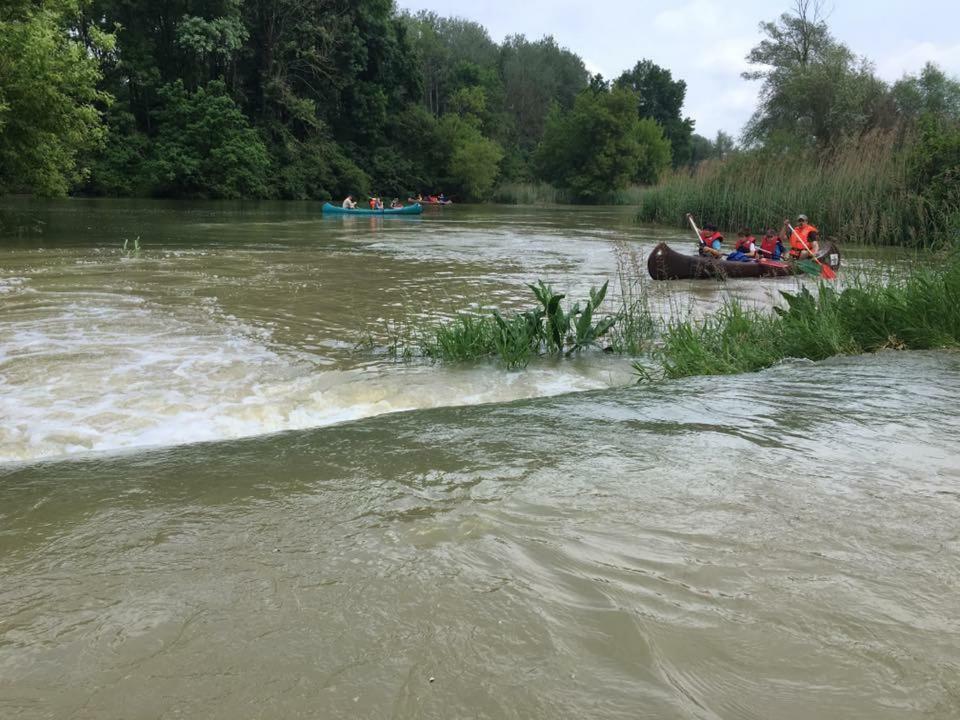 Готель Donaupark Camping Tulln Tulln An Der Donau Екстер'єр фото